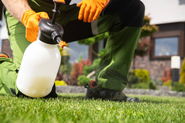 Best Flea Control Services  in West Lafayette, IN
