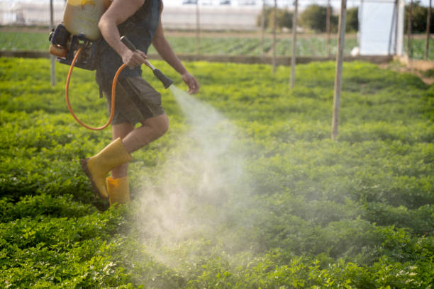Professional Pest Control in West Lafayette, IN